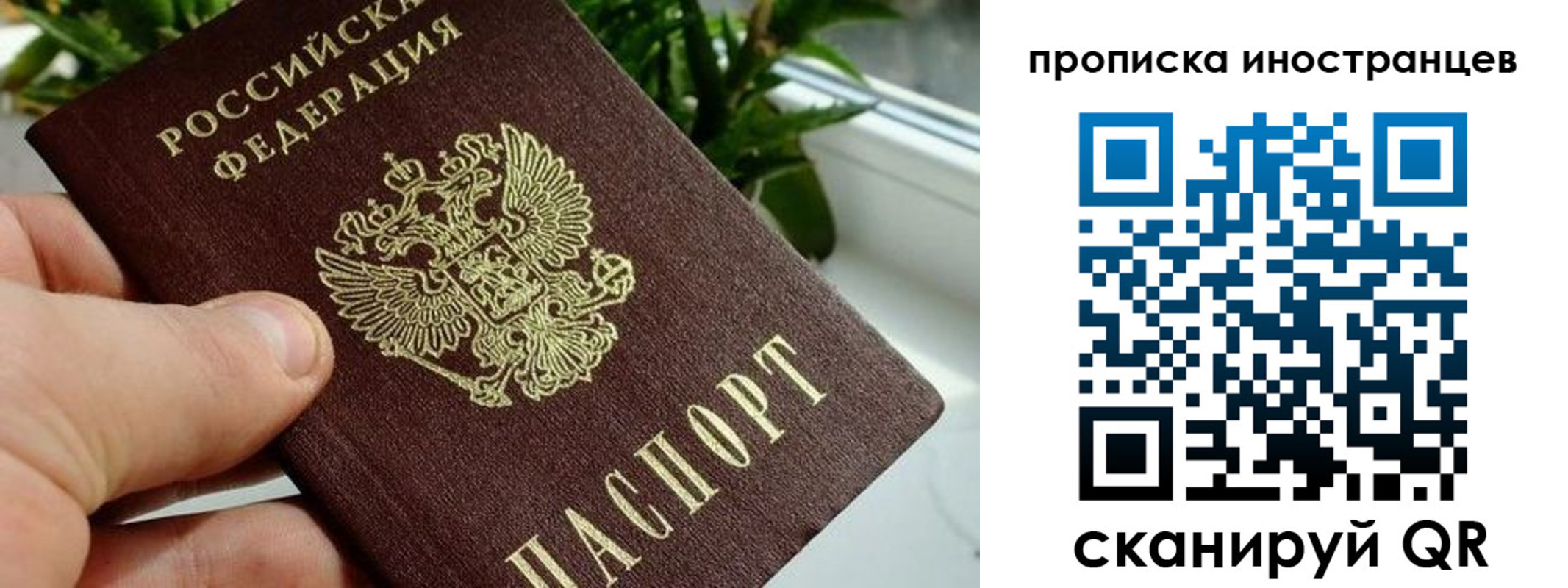 временная регистрация в Архангельской области