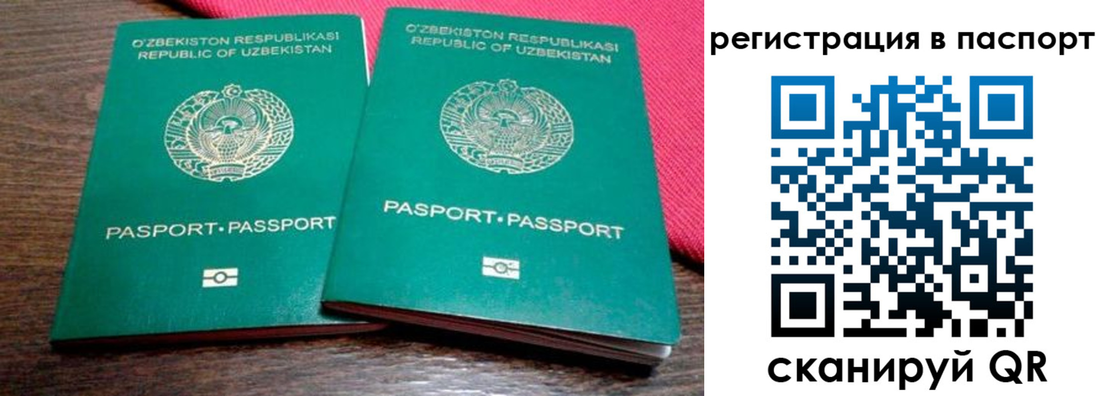 временная регистрация купить в Архангельской области